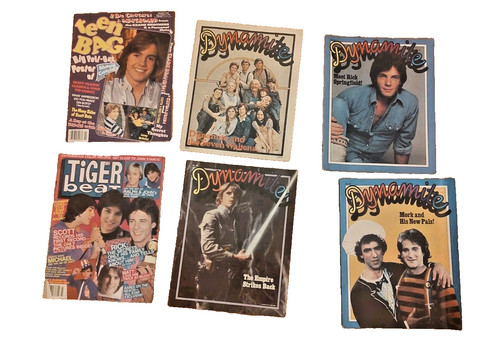 Lot tiger beat - 6, of